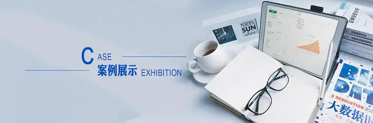 正安县软件开发